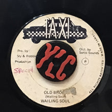 Cargar imagen en el visor de la galería, Wailing Soul– Old Broom
