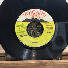 Cargar imagen en el visor de la galería, Joyce Walle – Baby Come Home With Joseph
