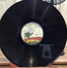 Cargar imagen en el visor de la galería, Wailing Souls – Wild Suspense
