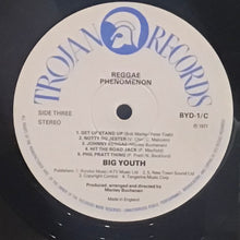 Cargar imagen en el visor de la galería, Big Youth – Reggae Phenomenon
