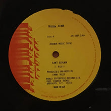 Cargar imagen en el visor de la galería, Triston Palmer/ Rod Taylor – Can&#39;t Explain
