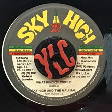 Cargar imagen en el visor de la galería, Sky High And The Mau Mau With Musick G.– What Kind Of World
