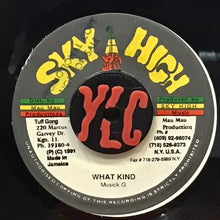 Cargar imagen en el visor de la galería, Sky High And The Mau Mau With Musick G.– What Kind Of World
