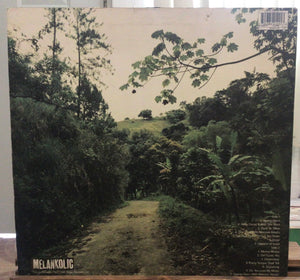 Horace Andy – Skylarking