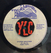 Cargar imagen en el visor de la galería, Tony Tuff - Stormy Weather
