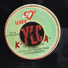 Cargar imagen en el visor de la galería, Toots And The Maytals– Papa D / You Never Know
